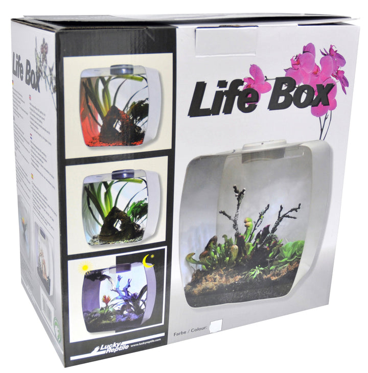 Lucky Reptile Life Box, Grösse:35x20x35 cm. Farbe Weiss weiss gross, weiss gross