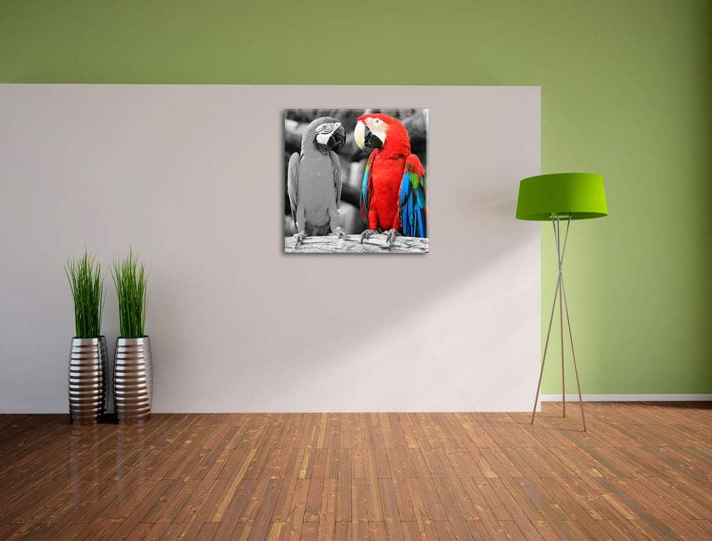 schöne Papageien auf AST als Leinwandbild/Grösse: 70x70 cm/Wandbild/Kunstdruck/fertig bespannt, 70x7