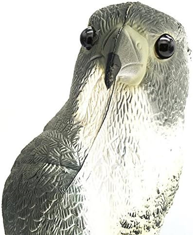 YOFIT Vogelscheuche, gefälschter Falken, Vogelabwehr, Gartenschutz, natürliche Schädlingsabwehr, Vog