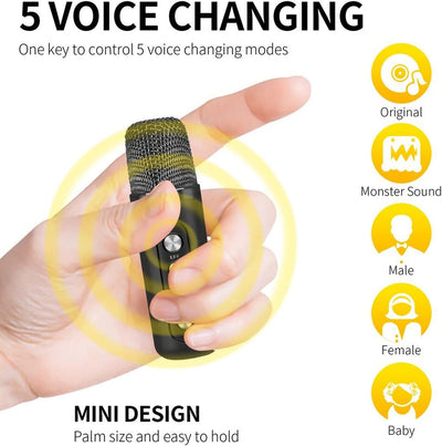 Karaoke Maschine,Bluetooth Karaoke Anlage mit 2 Mikrofonen, Lautsprecher Tragbares PA Anlage Karaoke