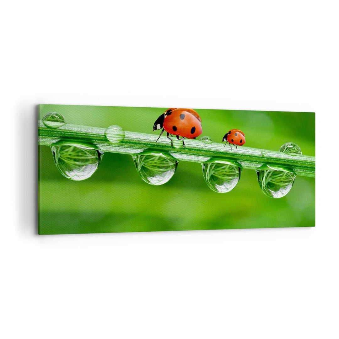 Wandbilder Dekoration Wohnzimmer Marienkäfer Wasser Grün Umwelt Panorama Bilder auf Leinwand 120x50c
