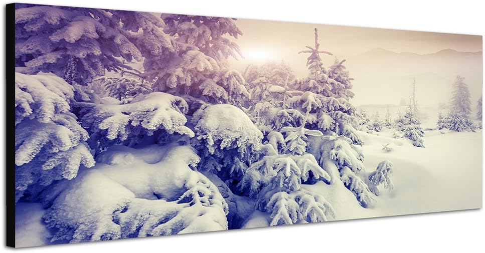 Paul Sinus Art Panoramabild auf Leinwand und Keilrahmen 150x50cm Bäume Berge Schnee Sonnenuntergang