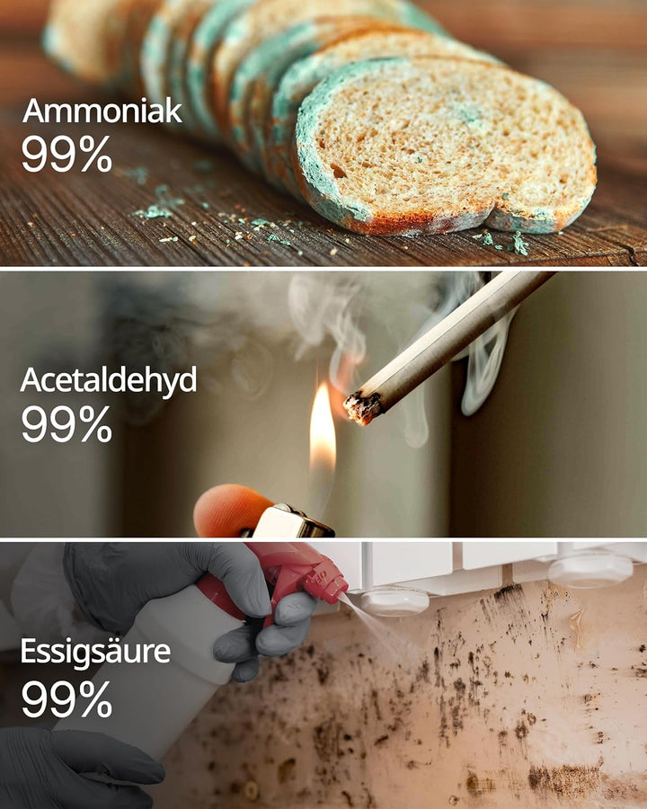 Coway Filterset für Luftreiniger AP-1512HH Mighty und AP-1518R Airmega200M