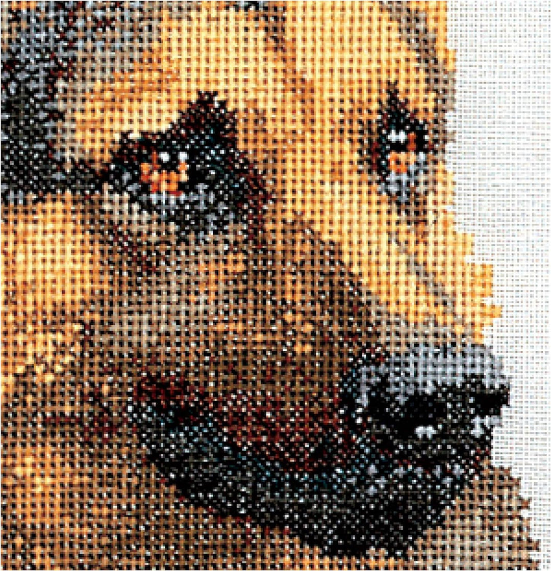 Thea Gouverneur - Kreuzstich-Set - Schäferhund - Leinen - 24 Count - Für Erwachsene - 934 24x33cm, 2