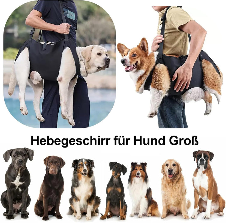 Tragehilfe Hund Gross mit Griffen Verstellbares Hundehebegeschirre, L | Treppenhilfe Hinterbeine Vor