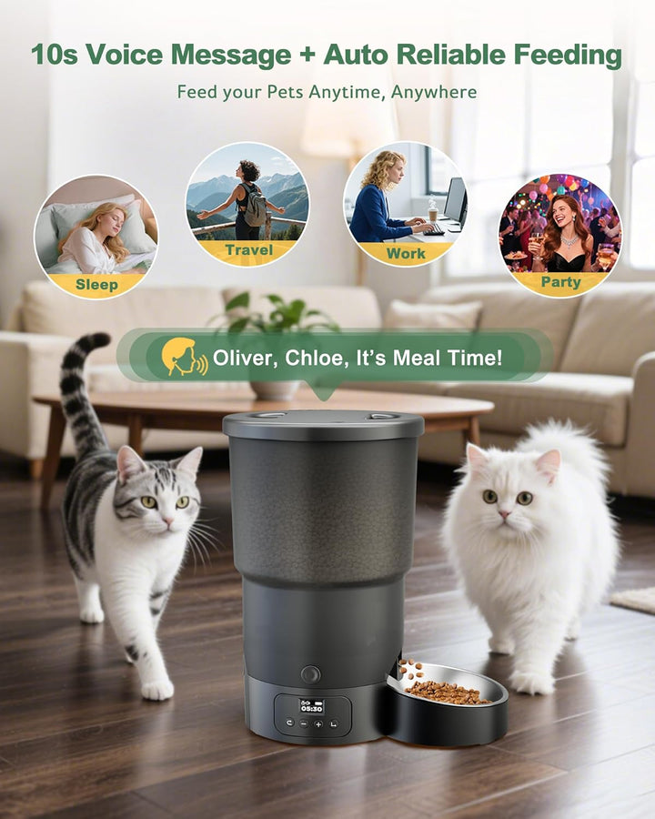 Gimars 5L Futterautomat Katze mit LCD-Anzeige Einfache Einrichtung, Programmierbar für 1–6 Mahlzeite