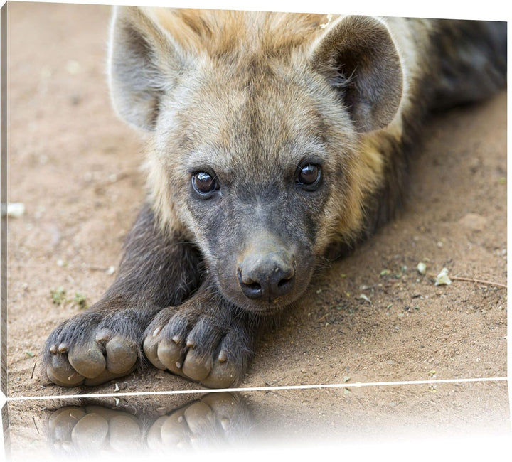 Pixxprint niedliche Hyäne auf Leinwand, XXL riesige Bilder fertig gerahmt mit Keilrahmen, Kunstdruck