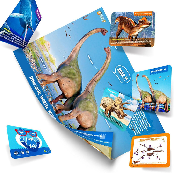 EGGBOX Dinosaurier Skelett Ausgrabungsset für Kinder, 2-in-1 Brachiosaurus Dino Dig & Malset, Dinosa