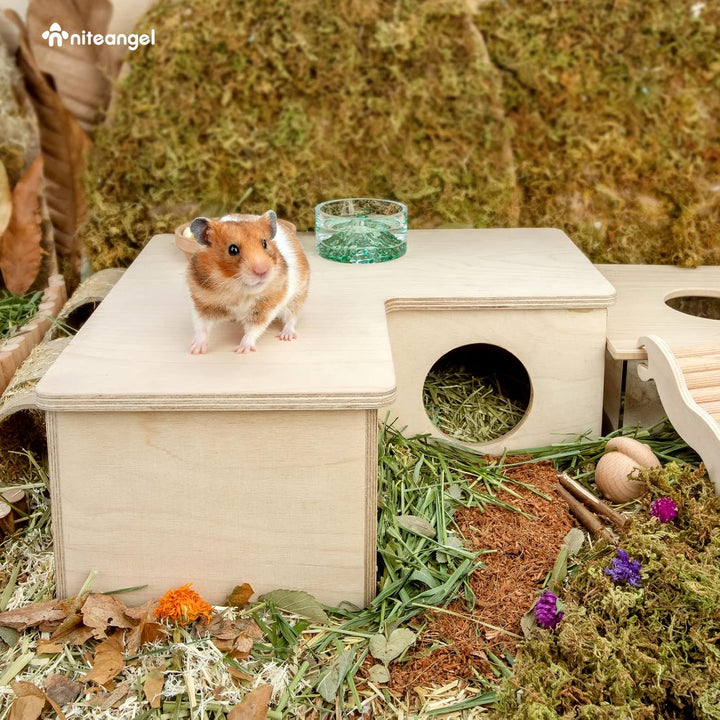 Niteangel Mehrkammer Hamsterhaus Labyrinth - Mehrzimmer-Verstecke und Tunnel-Erkundungsspielzeug für