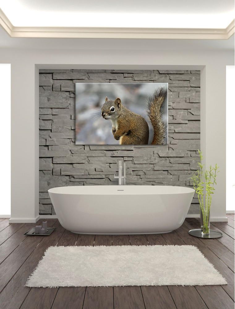 kleines wachsames Eichhörnchen Leinwand, XXL riesige Bilder fertig gerahmt mit Keilrahmen, Kunstdruc
