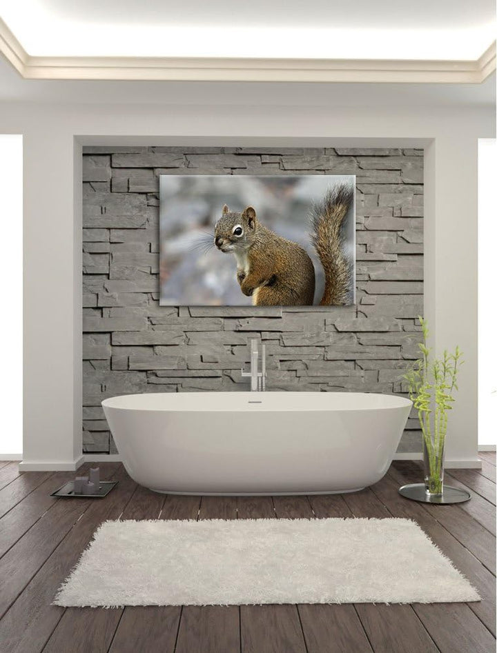 kleines wachsames Eichhörnchen Leinwand, XXL riesige Bilder fertig gerahmt mit Keilrahmen, Kunstdruc