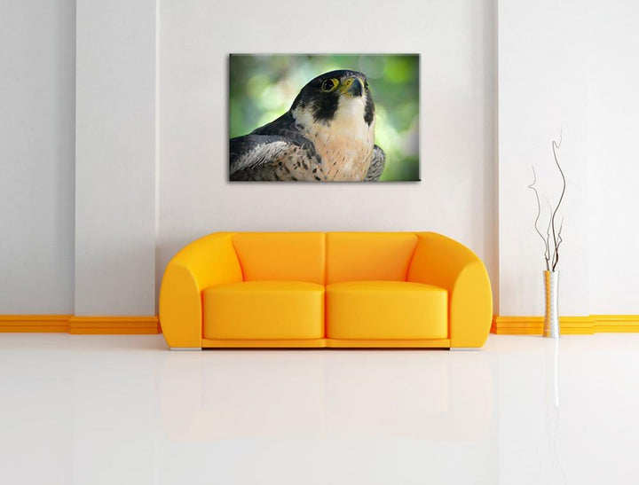 Pixxprint schöner Grauer Adler auf Leinwand, XXL riesige Bilder fertig gerahmt mit Keilrahmen, Kunst