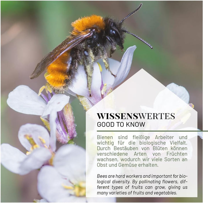WILDLIFE HOME Bienenhotel aus Naturholz I Insektenhotel, Bienenhaus, Nisthilfe Unterschlupf für Wild