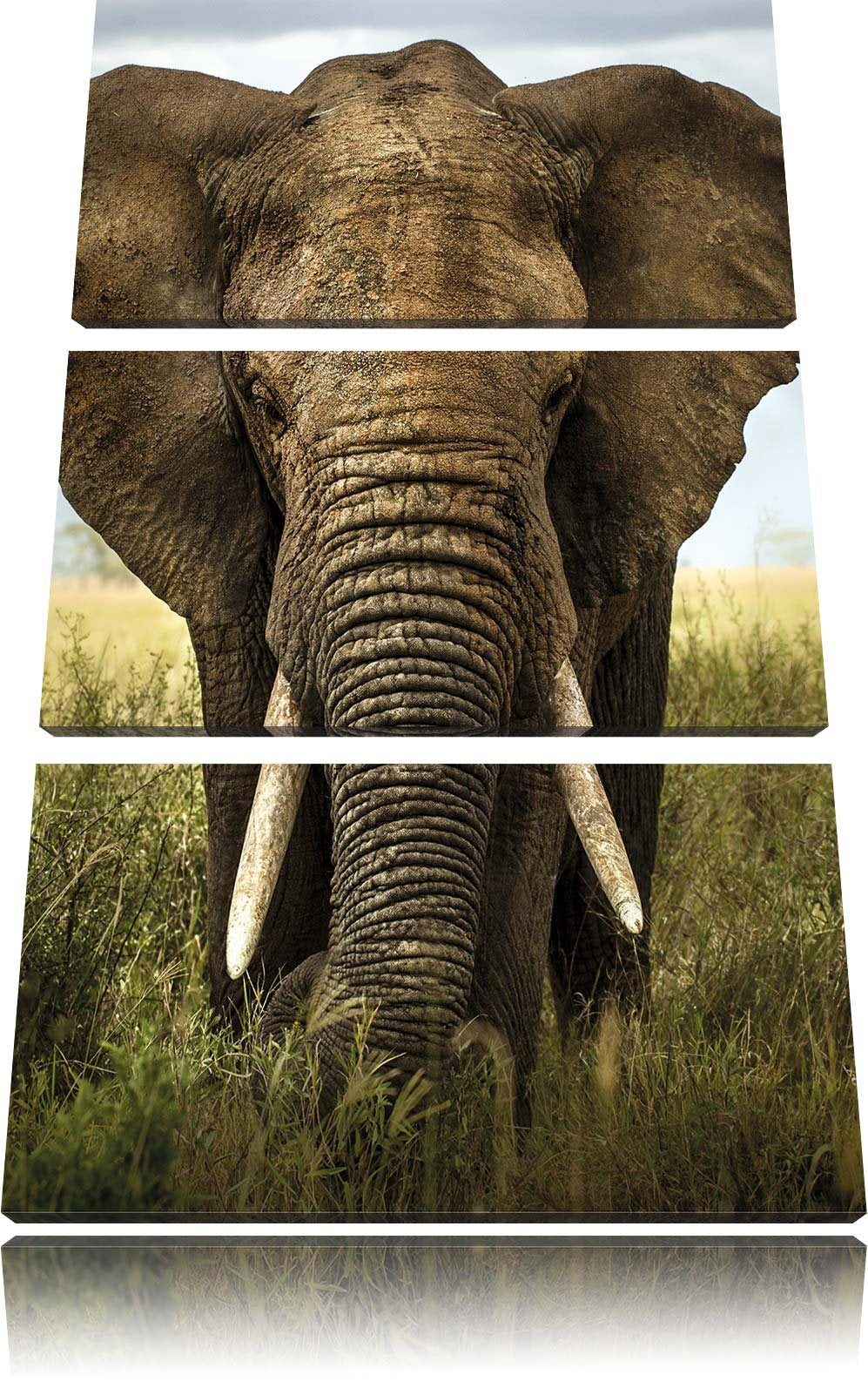 Pixxprint Imposanter Elefant als Leinwandbild/Grösse: 3 Teilig (120x80) cm/Wandbild/Kunstdruck/ferti