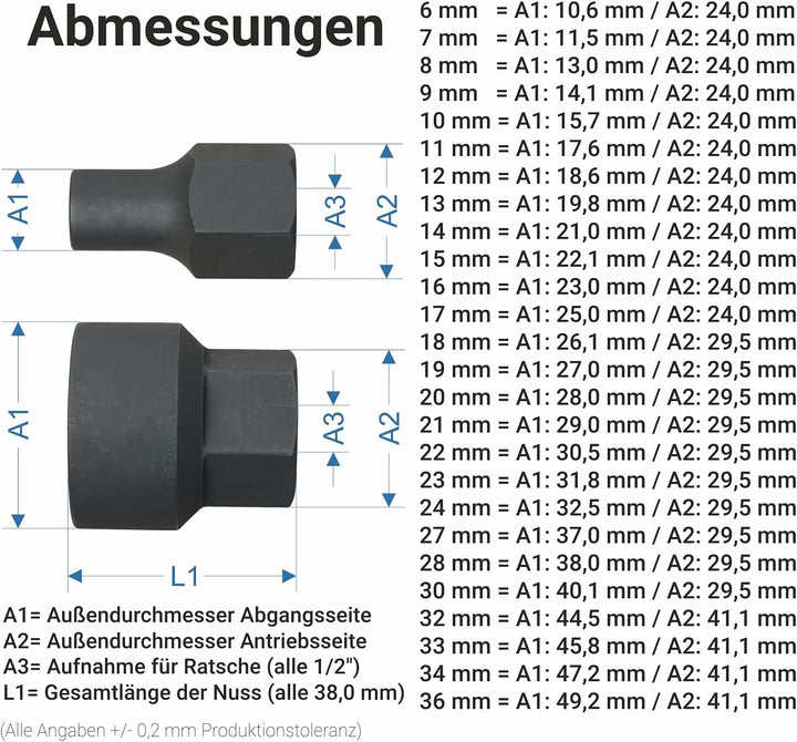 Hesselink Schraubenausdreher Hesselink SN-20 I Spezial-Steckschlüssel-Einsatz/Schraubenausdreher I (