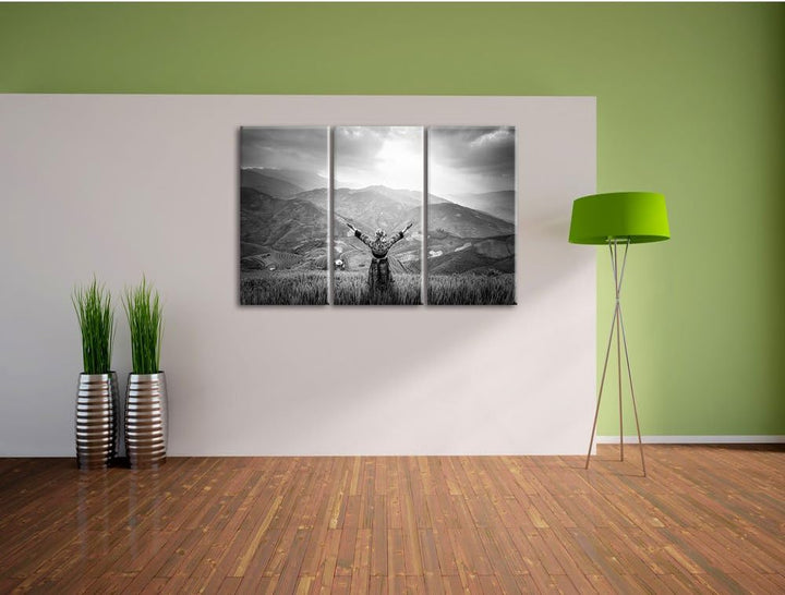 Pixxprint eine Berg Farm in Asien im Sonnenschein Kunst B&W 3-Teiler Leinwandbild 120x80 Bild auf Le