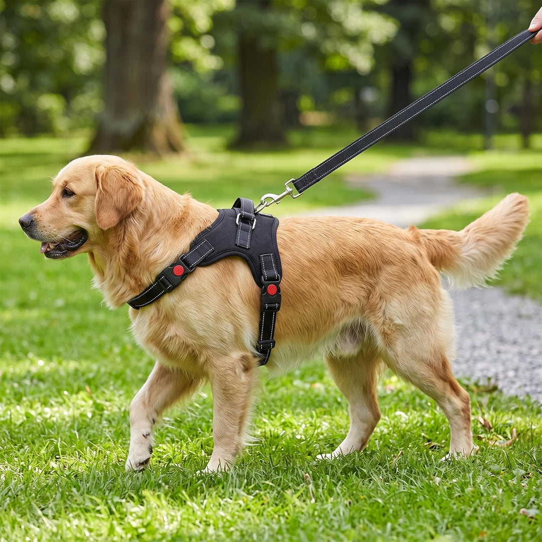 Hundegeschirr XL Anti-Zug mit gepolstertem Griff &amp; Reflektoren für grosse Hunde - Brustgeschirr stuf