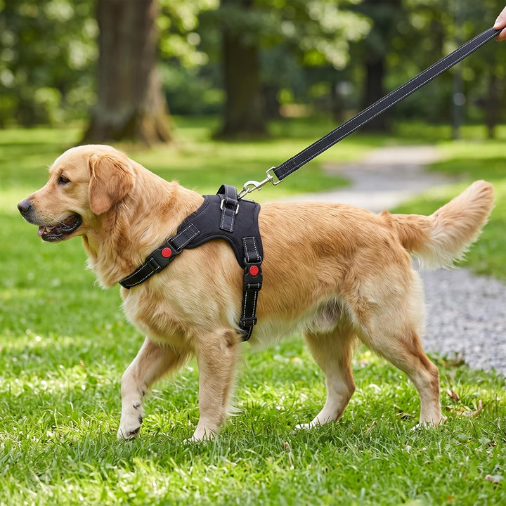Hundegeschirr XL Anti-Zug mit gepolstertem Griff &amp; Reflektoren für grosse Hunde - Brustgeschirr stuf