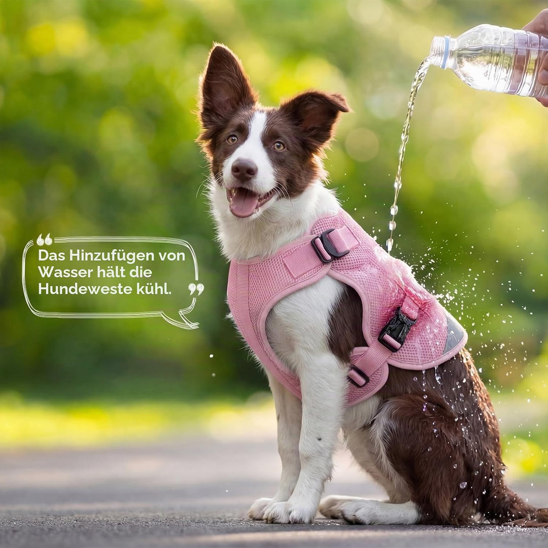 Hunde Kühlweste M, Atmungsaktive Kühlweste für mittelgrosse Hunde, Verdunstungskühlung, Leicht &amp; Sau