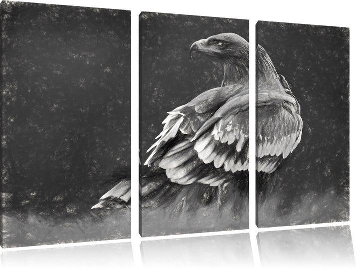 Pixxprint Einsamer Falke mit braunem Gefieder Kunst Kohle Effekt 3-Teiler Leinwandbild 120x80 Bild a