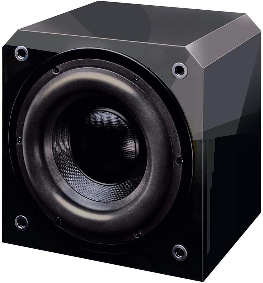 Sunfire HRS10 25,4 cm Hohe Auflösung Subwoofer