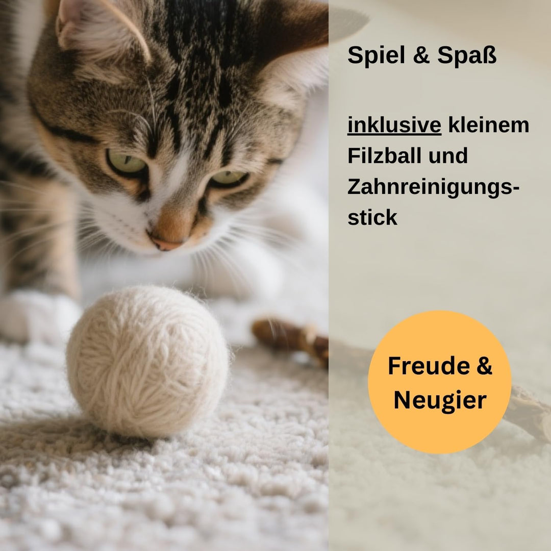 ecocasa Katzenhöhle Katzenbett Katzenhaus XL – auch für grosse Katzen – aussen robust & innen kusche