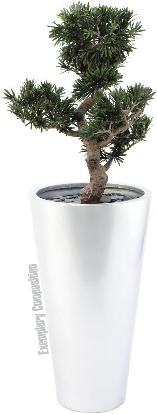 Euro Palms Wohnaccessoires & Deko, Grün