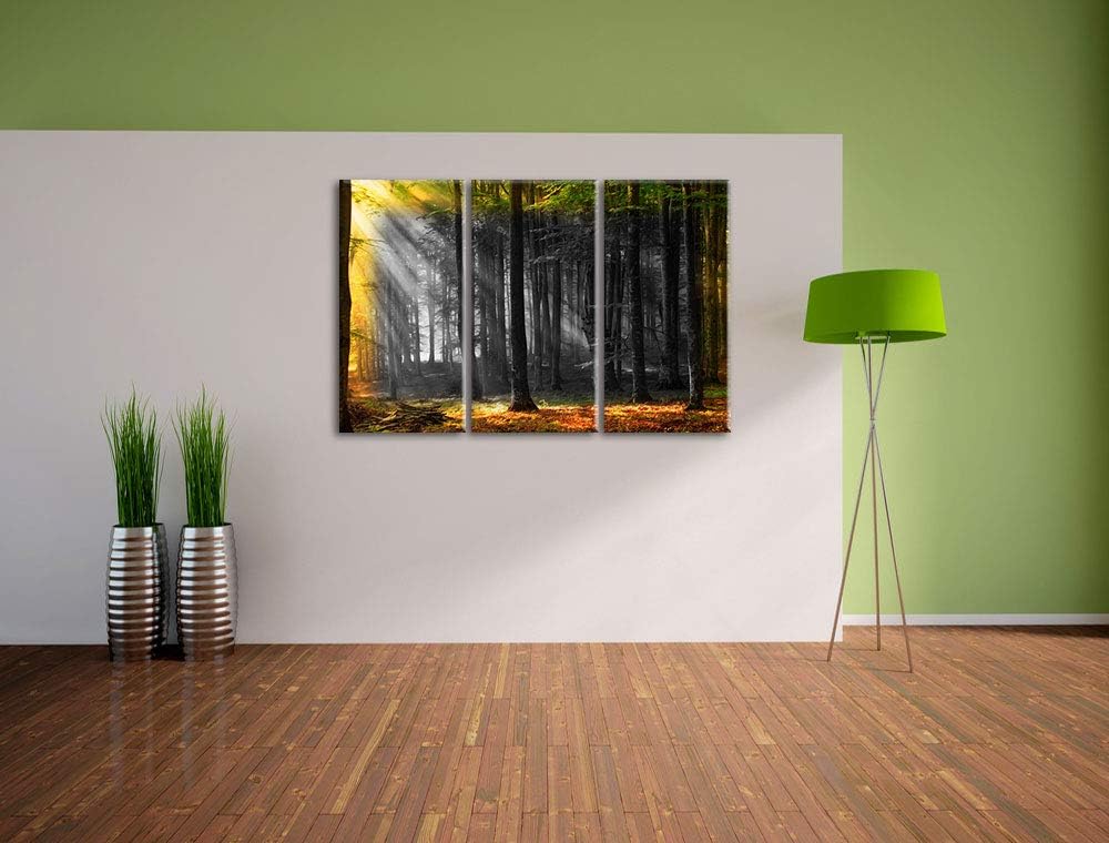 schöner Märchenwald bei Mittagssonne schwarz/weiss 3-Teiler Leinwandbild 120x80 Bild auf Leinwand, X
