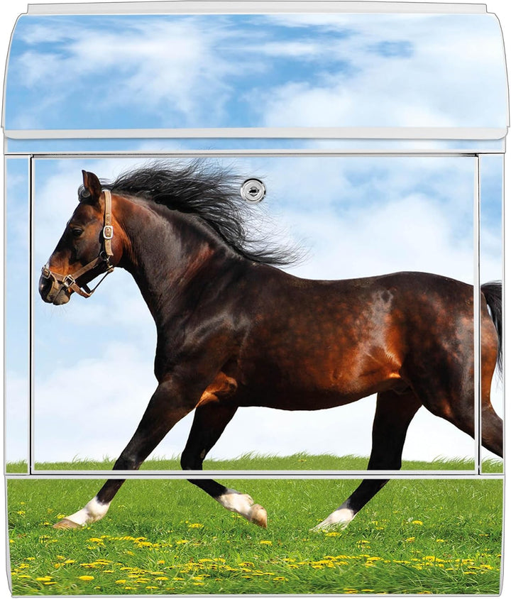 banjado® Design Briefkasten mit Motiv Pferd 39x47x14cm &amp; 2 Schlüssel - Briefkasten Stahl weiss mit Z