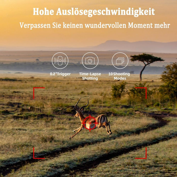 RecorCam Wildkamera 4G APP, 120 MP 4K, Wildtierkamera mit SIM-Karte, Telefon-Sende-Foto, Nachtsichtk