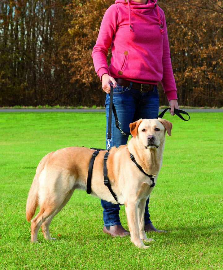 TRIXIE Stay Hundegeschirr - S/M schwarz S-M, schwarz S-M