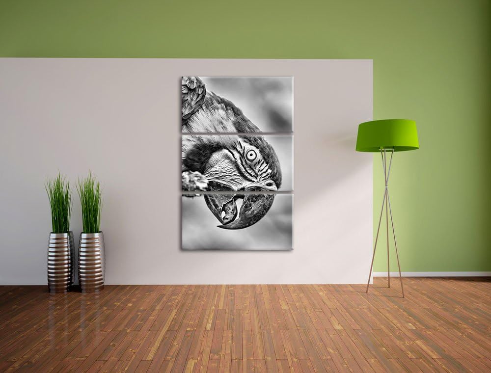 Pixxprint schöner Gelbbrustara als Leinwandbild/Grösse: 3 Teilig (120x80) cm/Wandbild/Kunstdruck/fer