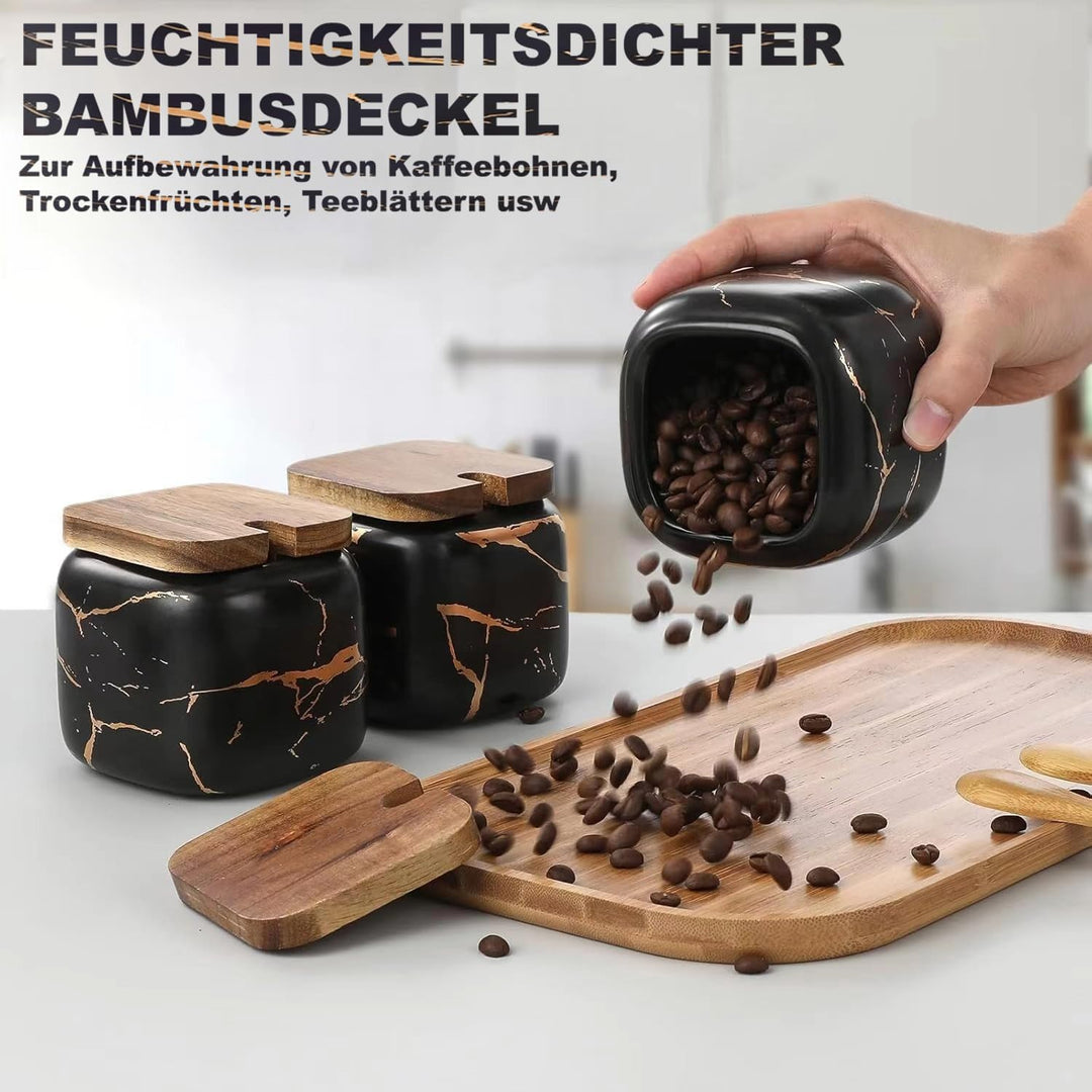 TELANKS Gewürzgläser Set, 3 Stk Keramik Zuckerdose mit Deckel und Löffel für Haus und Küche, Alterna