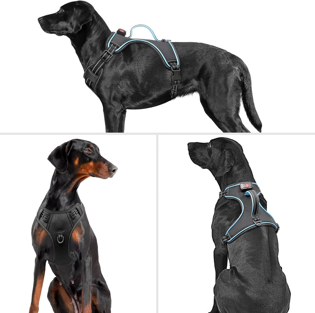 Hundegeschirr Leuchtend Wiederaufladbares Leuchtgeschirr für Hunde Led Beleuchtetes Hundegeschirr fü