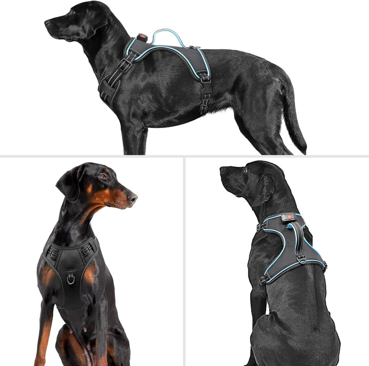 Hundegeschirr Leuchtend Wiederaufladbares Leuchtgeschirr für Hunde Led Beleuchtetes Hundegeschirr fü