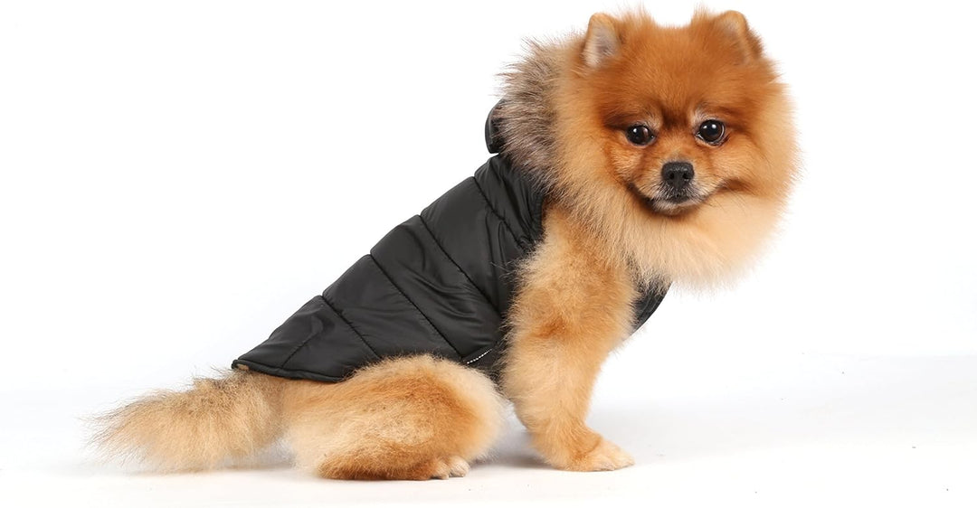 Doggy Dolly W066 Hundejacke mit Kapuze und Kunstfell, schwarz, Wintermantel/Winterjacke, Grösse : M