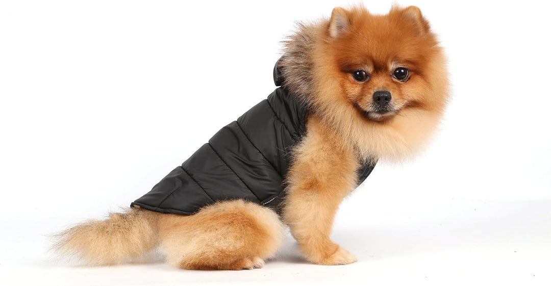 Doggy Dolly W066 Hundejacke mit Kapuze und Kunstfell, schwarz, Wintermantel/Winterjacke, Grösse : XL