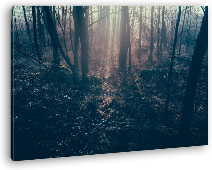 deyoli Dunkler Wald Format: 80x60 als Leinwand, Motiv fertig gerahmt auf Echtholzrahmen, Hochwertige