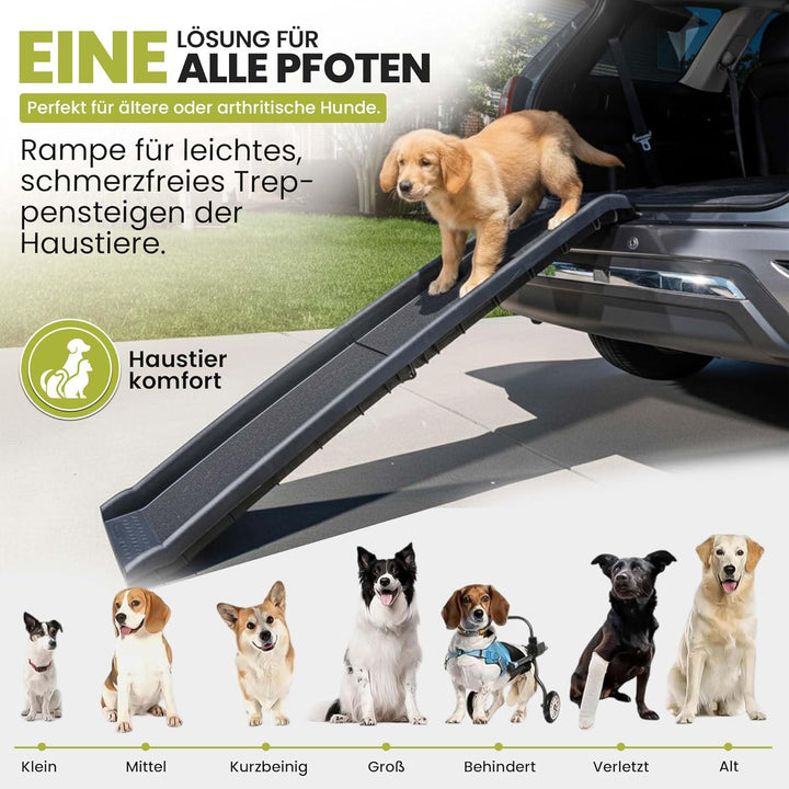 all Pets United® Hunderampe klappbar Hundetreppe Hunde- & Katzentreppe Rampe Einstiegshilfe für Koff