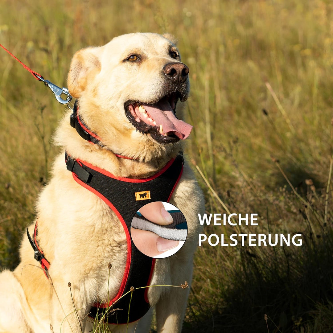 Ferplast Hundegeschirr kleine Hunde Geschirr Hunde mit Polsterung ERGOCOMFORT S Halsumfang: 32-42 cm