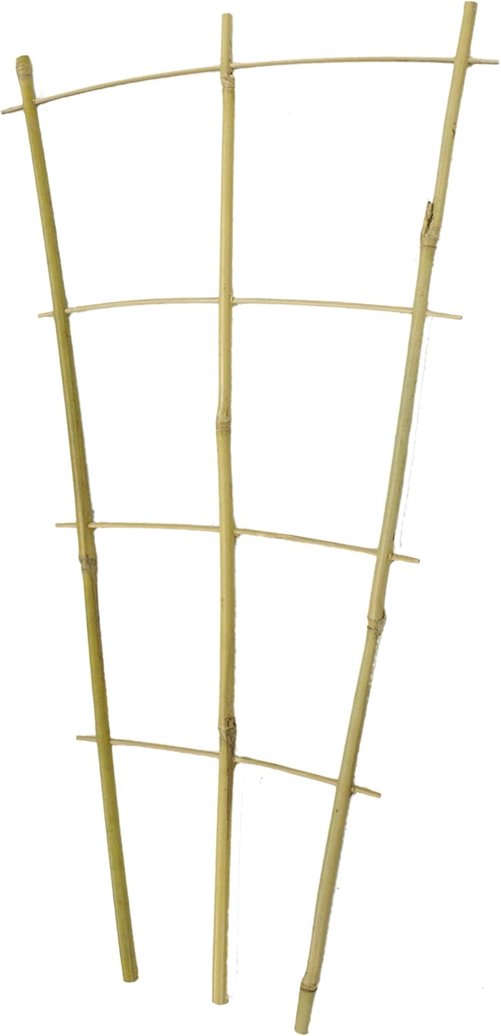 DARO DEKO Bambusrohr Rankgitter 32 x 60cm 80 Stück, 32 x 60cm 80 Stück