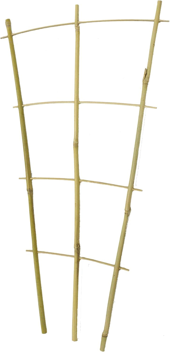 DARO DEKO Bambusrohr Rankgitter 32 x 60cm 80 Stück, 32 x 60cm 80 Stück