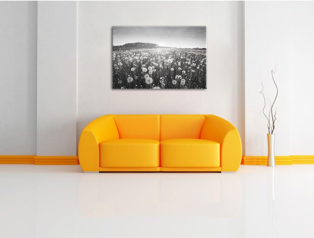 Pixxprint Pusteblumen Sonnenuntergang als Leinwandbild/Grösse: 100x70 cm/Wandbild/Kunstdruck/fertig