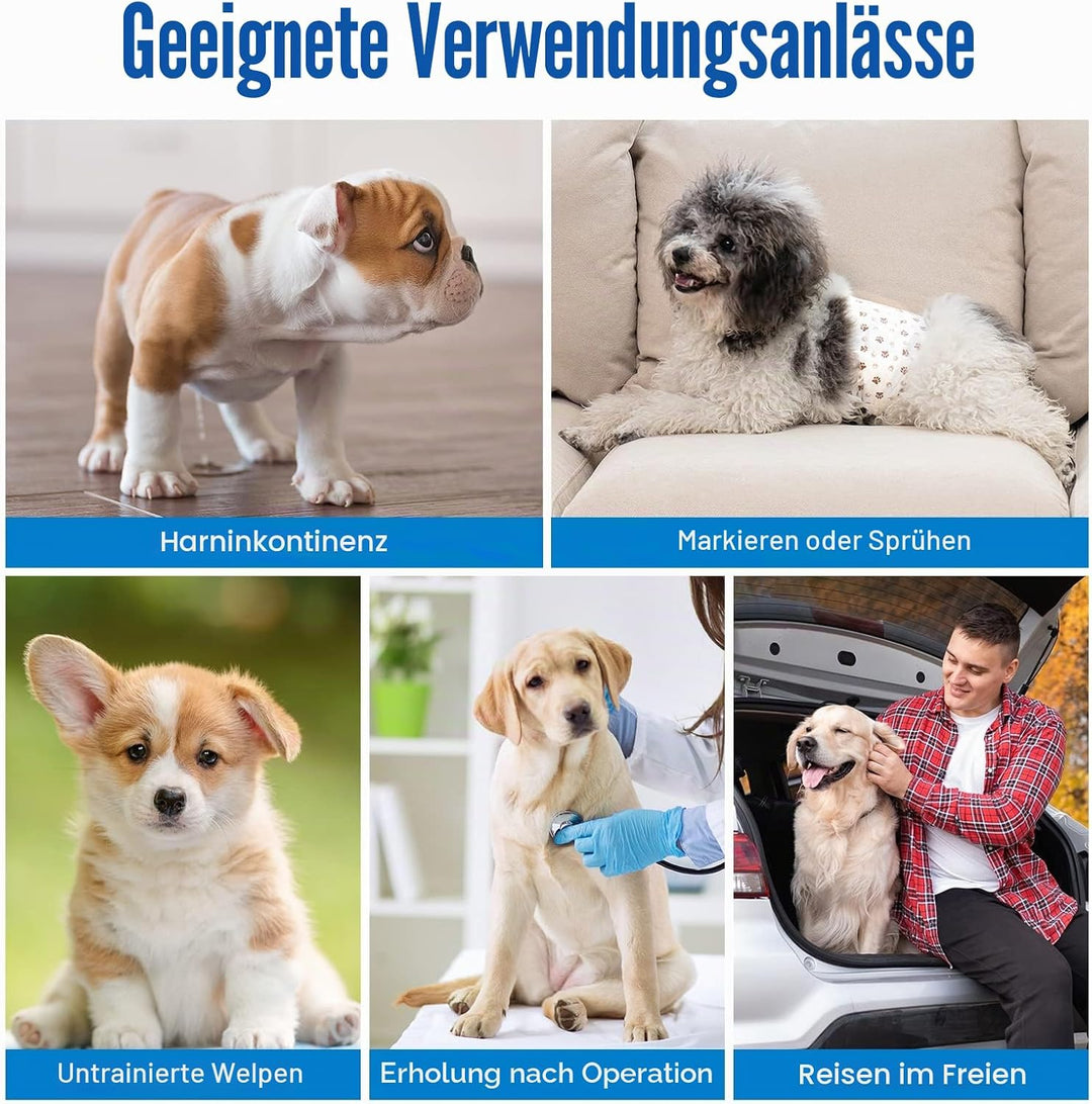 Pet Soft Einweg-Hundewindeln für Rüden 50 Stück, Hochsaugfähige Rüdenwindeln mit Nässeindikator und