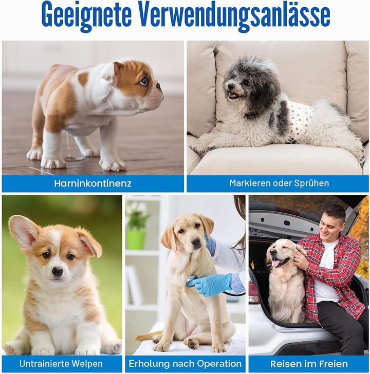 Pet Soft Einweg-Hundewindeln für Rüden 50 Stück, Hochsaugfähige Rüdenwindeln mit Nässeindikator und