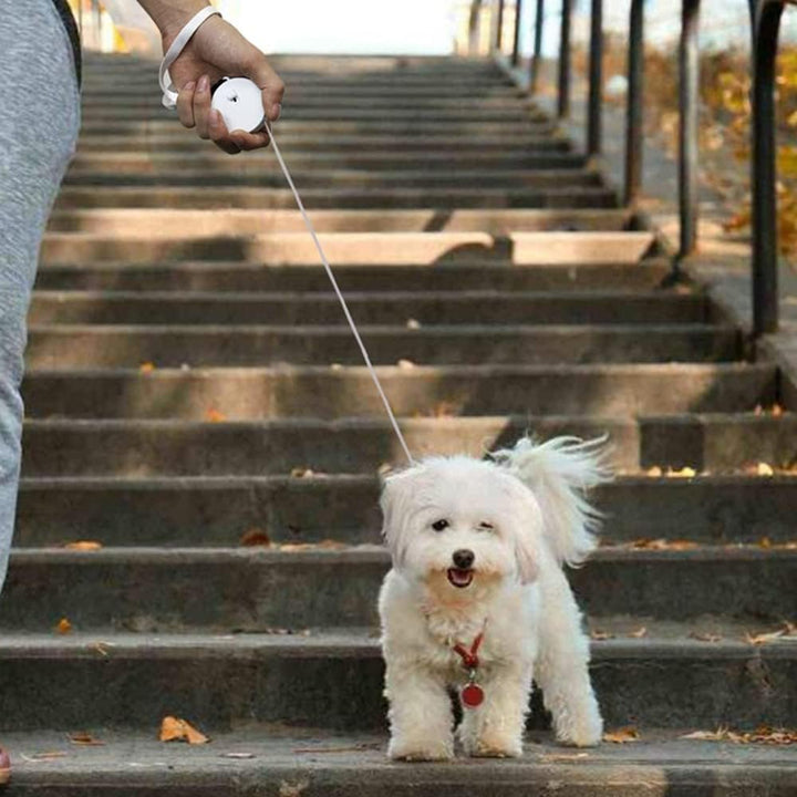 3m/9.8ft Hundeleine, Einziehbare Kleine Hunde Rollleine, Tragbar Automatische Dog Leash für Kleine H
