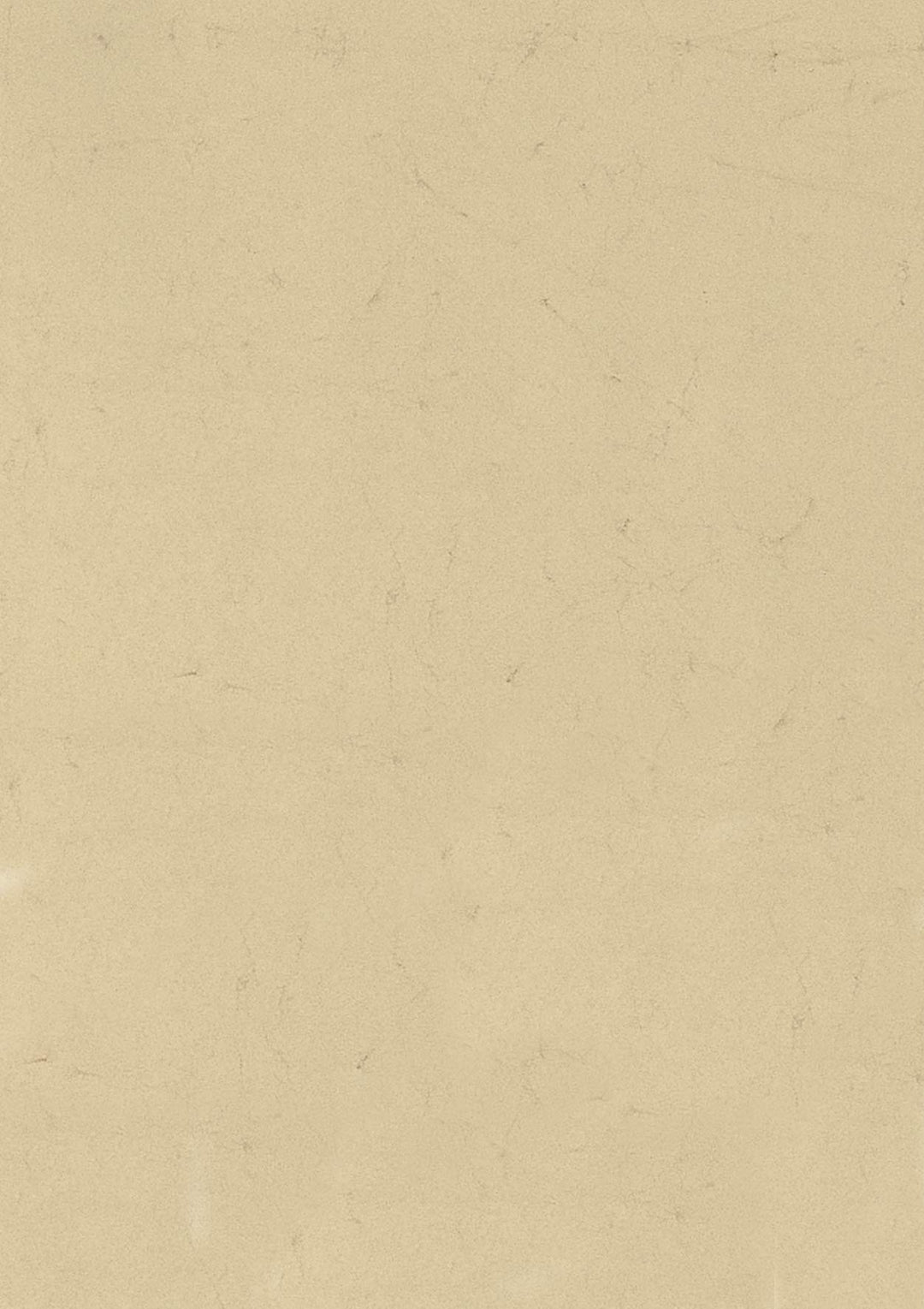 HEYDA 1026369699 100X Elefantenhaut A4 110g ch, MDF