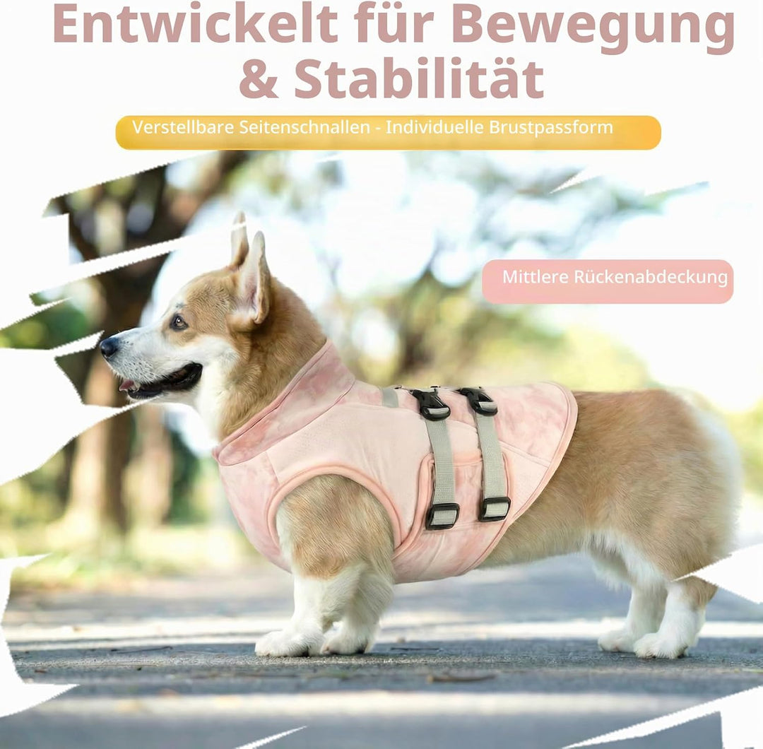 Kühlweste Hund Sommer Leicht Atmungsaktiv Kühlmantel Hund Mit D-Ring, Verstellbar Sonnenschutz Hunde