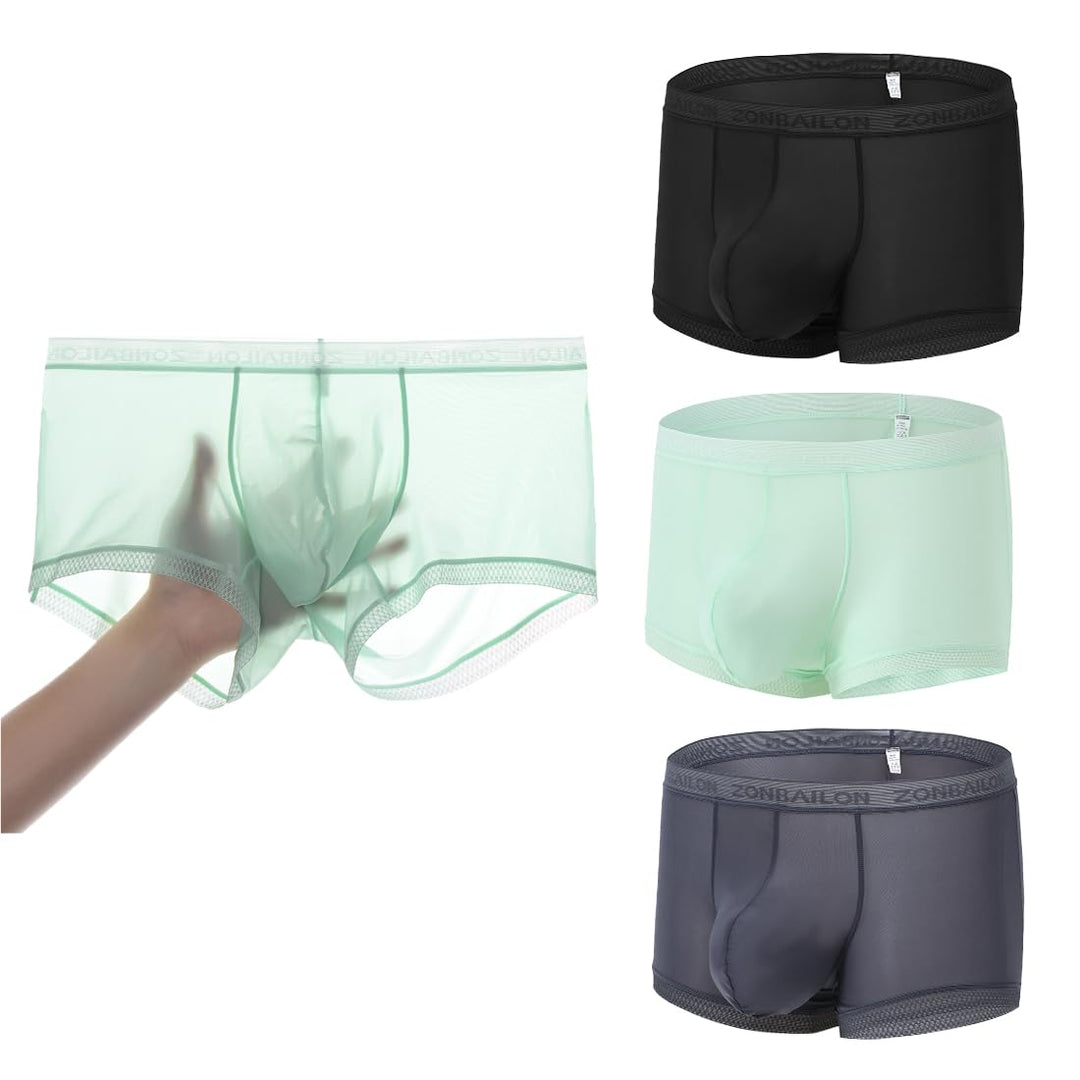 BIATWOWR Herren Slips Transparent Sexy Unterwäsche mit Beutelverstärkung mehr Attraktivität und Komf
