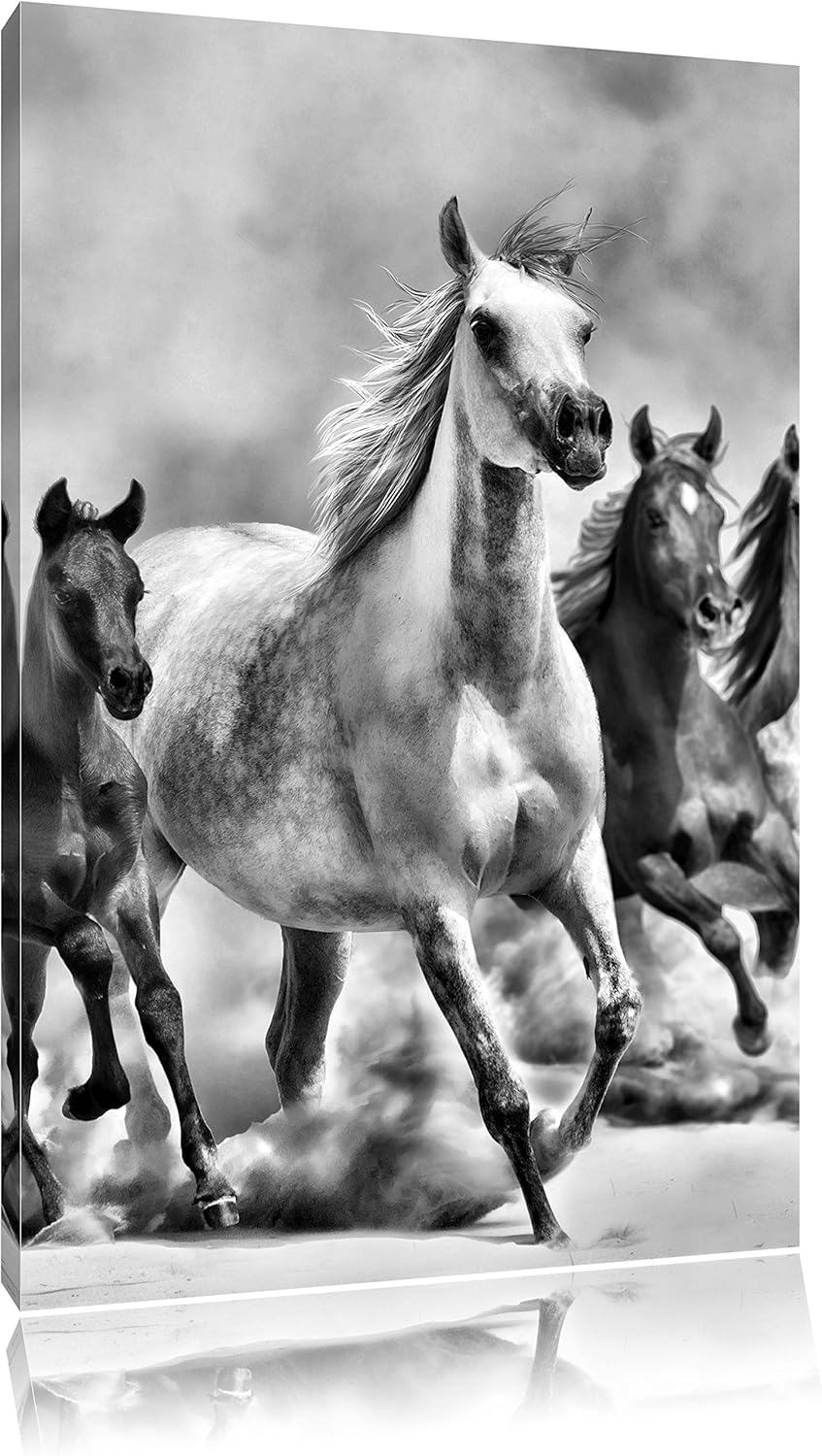 Pixxprint Monocrome, Western Pferde in Wüste mit Fohlen, Format: 100x70 auf Leinwand, XXL riesige Bi